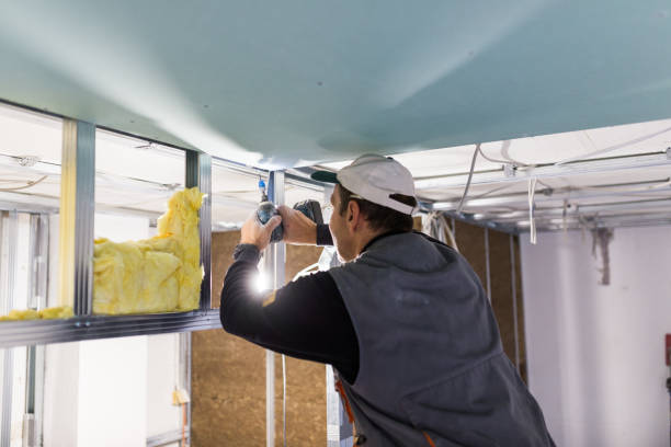 Best Eco-Friendly Insulation in Greenwood, IN
