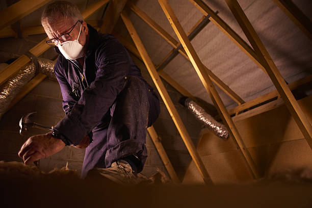 Best DIY Insulation Kits and Guidance in Greenwood, IN